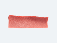 A single piece of fresh bluefin tuna chu-toro, isolated on a white background.