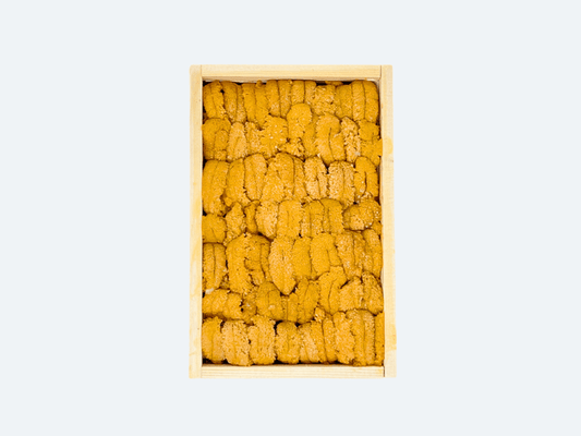 Maine Uni